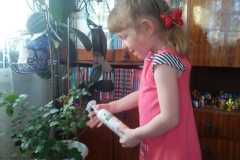IMG-2787148fbaceaa4e39f7fef137e6c62f-V